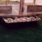 removabledividerpanels