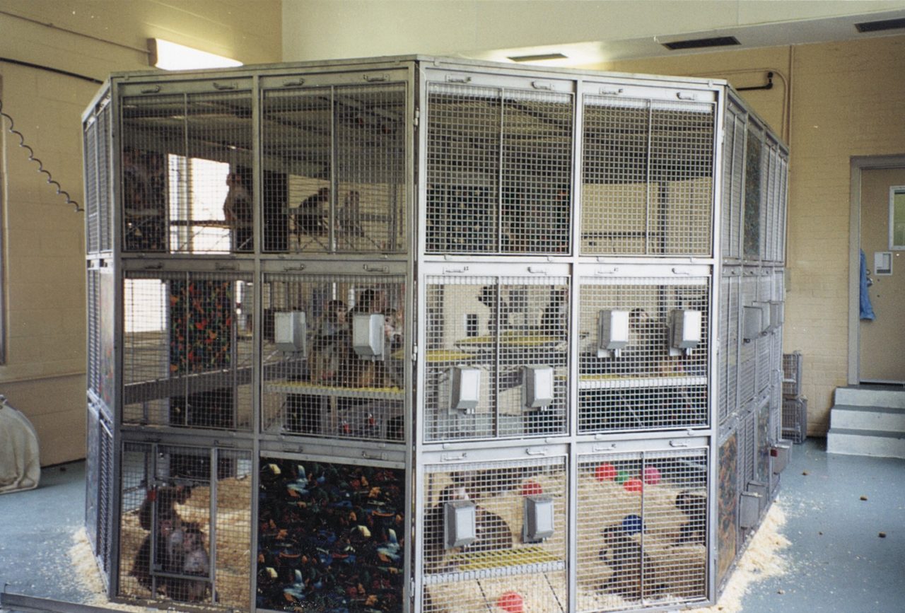 Home Britz & Company