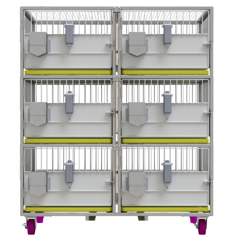 Rabbit Caging Britz & Company